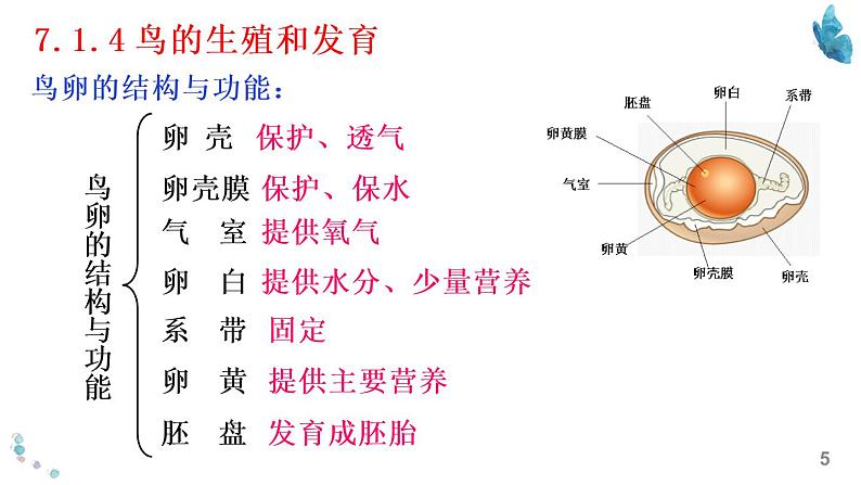 八年级下册知识默写-【临考必背】备战2022年中考生物知识点默写与背诵（人教版）05