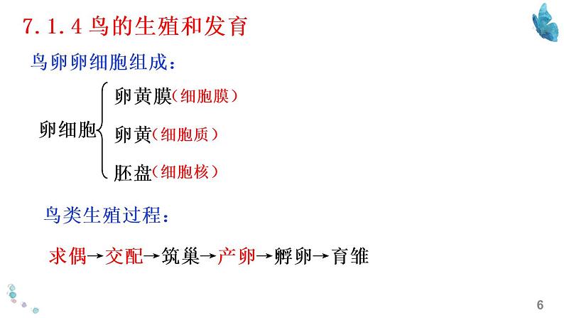 八年级下册知识默写-【临考必背】备战2022年中考生物知识点默写与背诵（人教版）06