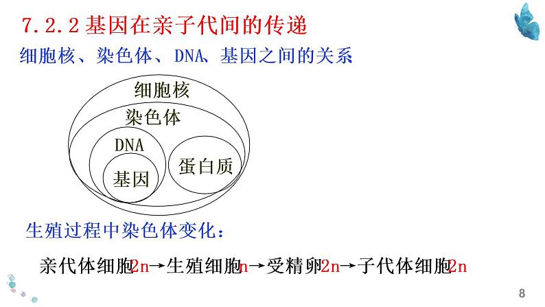 八年级下册知识默写-【临考必背】备战2022年中考生物知识点默写与背诵（人教版）08