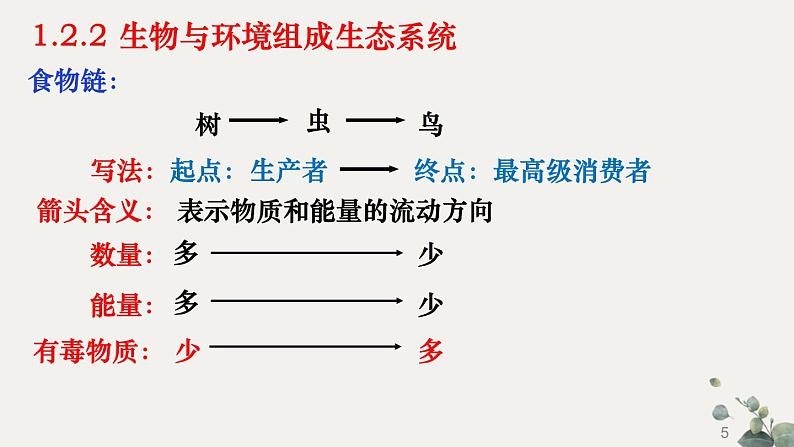 七年级上册知识默写-【临考必背】备战2022年中考生物知识点默写与背诵（人教版）第5页