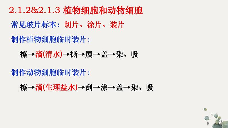 七年级上册知识默写-【临考必背】备战2022年中考生物知识点默写与背诵（人教版）第8页