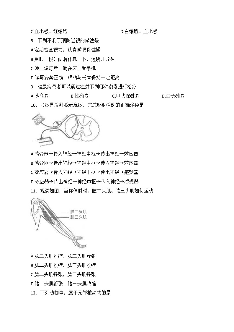 2022年天津市东丽区初中学业考查模拟生物试卷(word版无答案)02