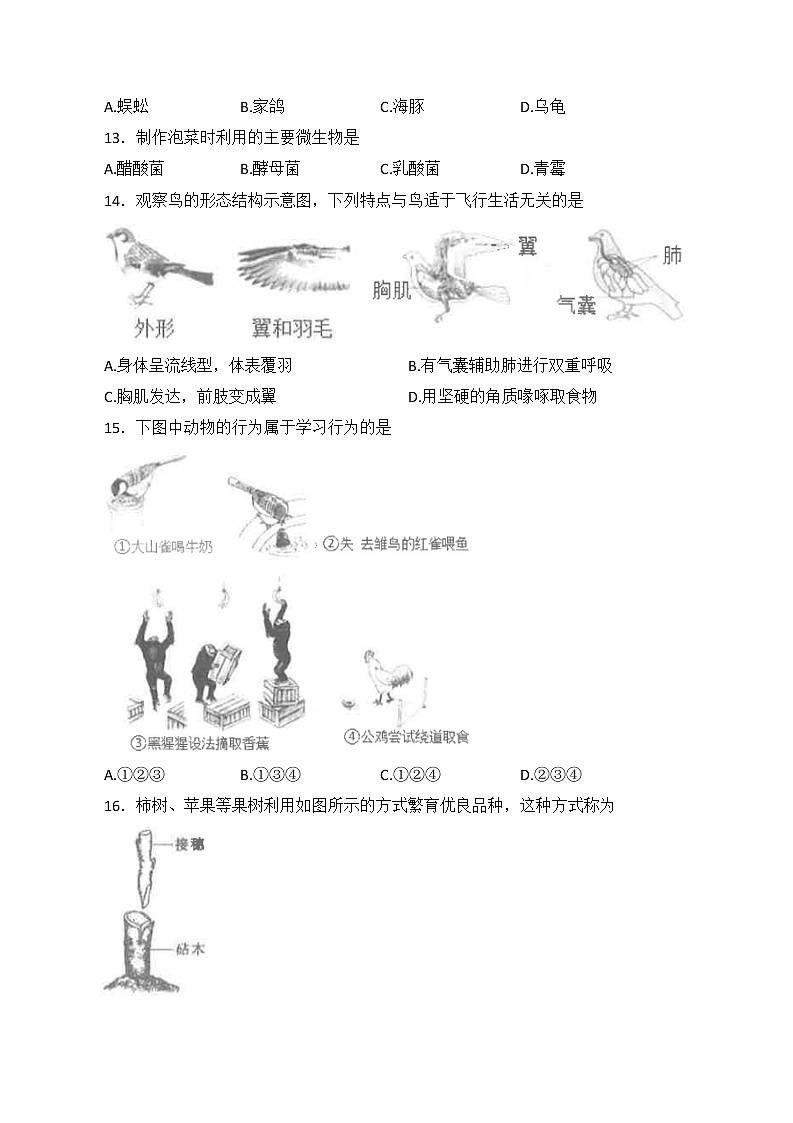 2022年天津市东丽区初中学业考查模拟生物试卷(word版无答案)03