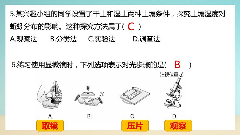 七上北师大版生物期末试卷B卷（试卷+PPT含答案）04