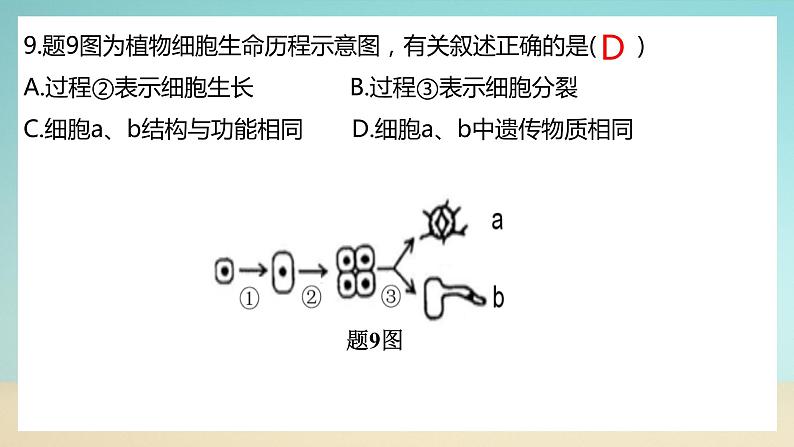 七上北师大版生物期末试卷B卷（试卷+PPT含答案）07