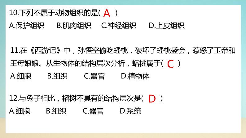 七上北师大版生物期末试卷B卷（试卷+PPT含答案）08