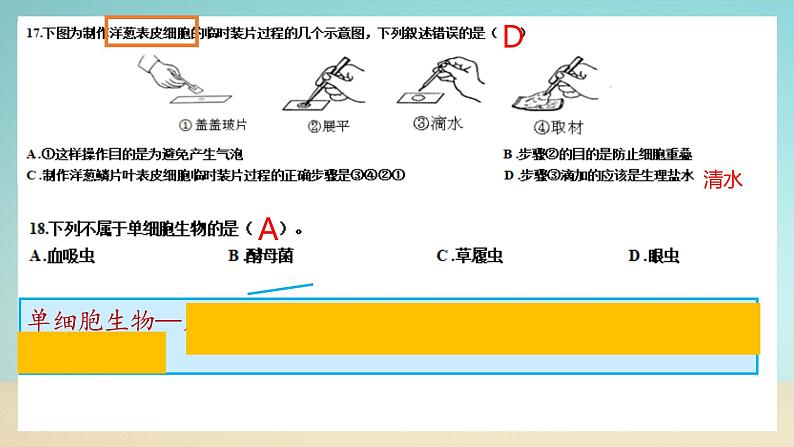 七上北师大版生物期中试卷（试卷+PPT含答案）08