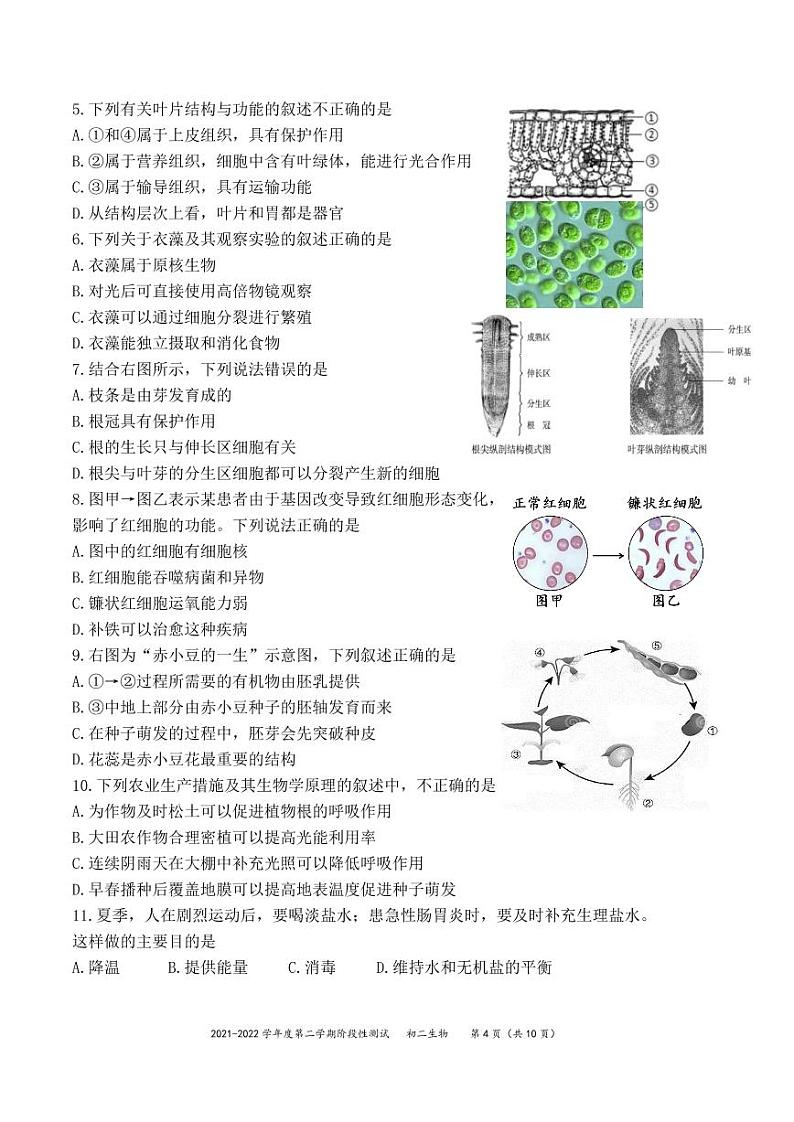 2022年北京市中考一模生物试卷（无答案）02