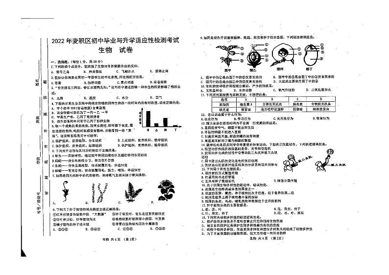 甘肃省天水市麦积区2021-2022学年八年级下学期初中升学与适应性检测生物试题（无答案）01