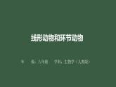 5.1.2《線形動(dòng)物和環(huán)節(jié)動(dòng)物》課件+教案+習(xí)題