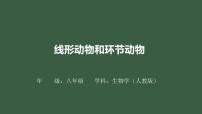 初中生物人教版 (新课标)八年级上册第二节 线形动物和环节动物优质习题ppt课件