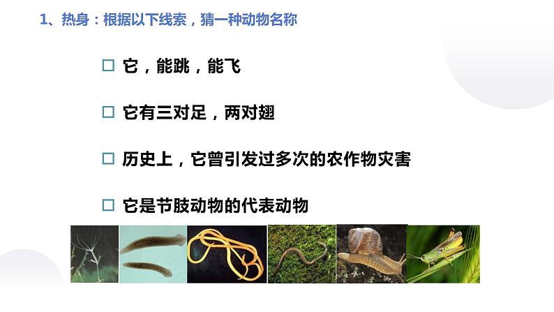 课件：5.1.4 鱼第2页