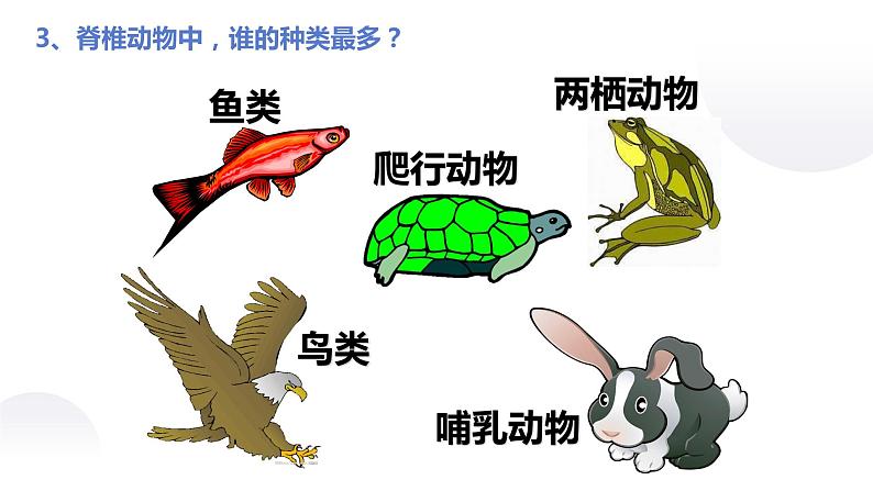 课件：5.1.4 鱼第5页