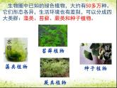 3.1.1 《藻类、苔藓和蕨类植物》课件