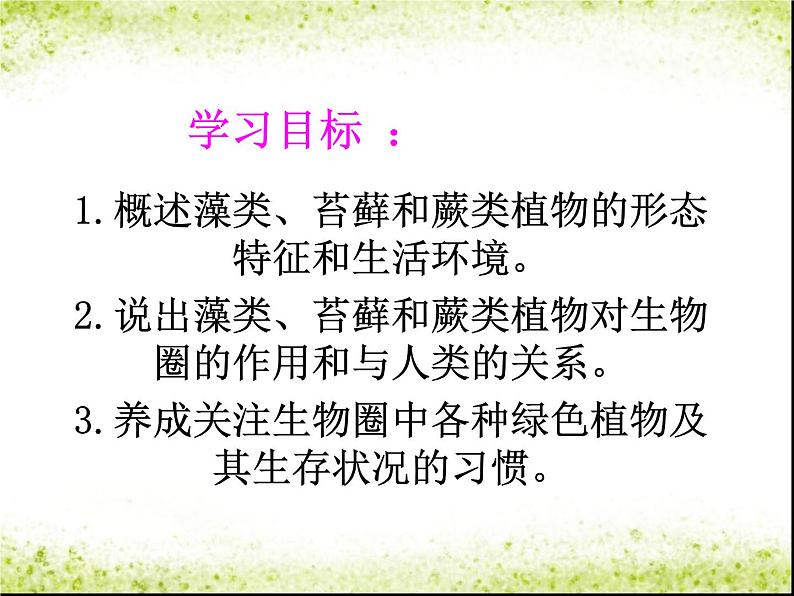3.1.1 《藻类、苔藓和蕨类植物》课件04