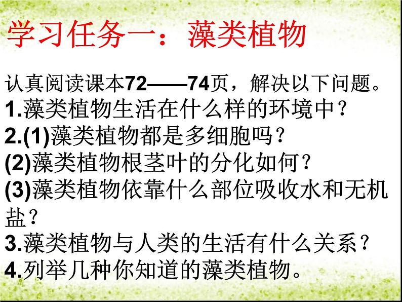 3.1.1 《藻类、苔藓和蕨类植物》课件06