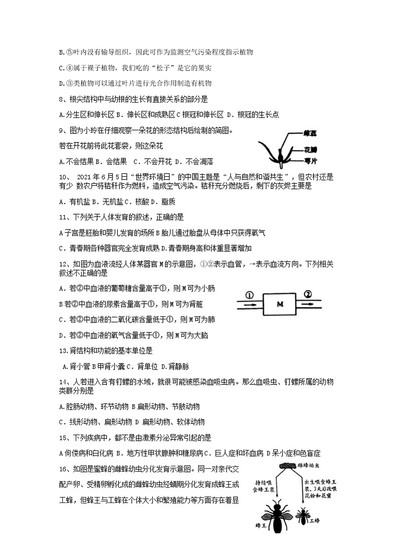 河南省周口市川汇区2021-2022学年八年级中招考试第一次质量检测生物试卷（有答案）02