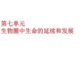 第7单元第1章第1节  植物的生殖 课件