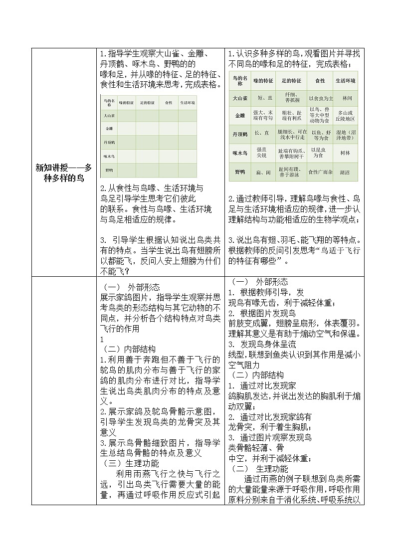 5.1.6《鸟》课件+教案+习题02