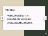 5.1.7 哺乳动物-课件