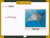 5.1.7 哺乳动物-课件