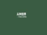 从种到界-课件
