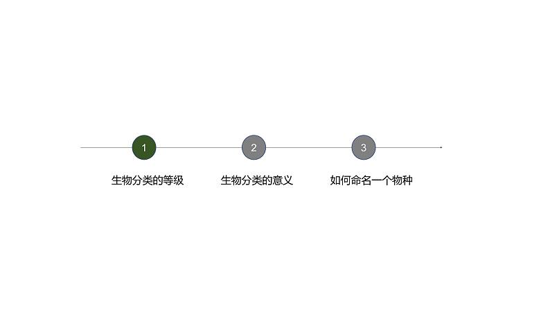 从种到界-课件第5页