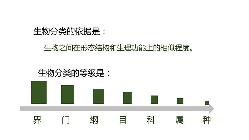 从种到界-课件第6页