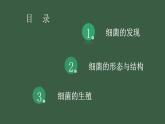 5.4.2《细菌》课件+教案+习题
