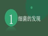 5.4.2《细菌》课件+教案+习题