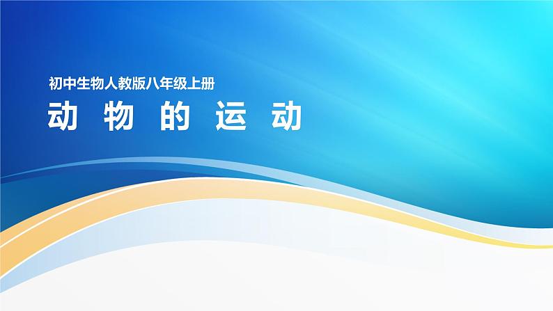 动物的运动 ppt第2页