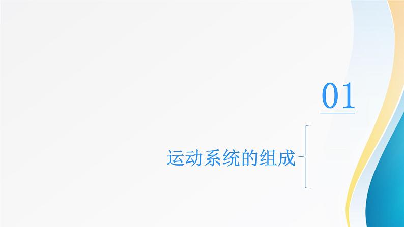 动物的运动 ppt第3页