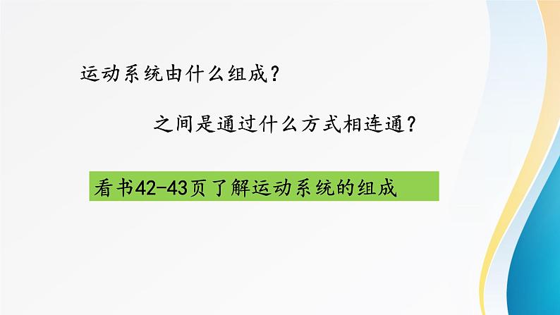 动物的运动 ppt第4页