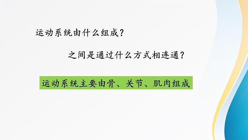 动物的运动 ppt第5页