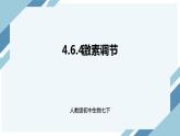 4.6.4激素调节（课件+教案+练习+导学案）