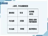 4.6.4激素调节（课件+教案+练习+导学案）