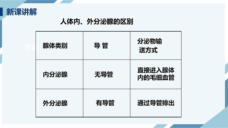 4.6.4激素调节（课件+教案+练习+导学案）04