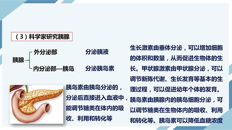 4.6.4激素调节（课件+教案+练习+导学案）07