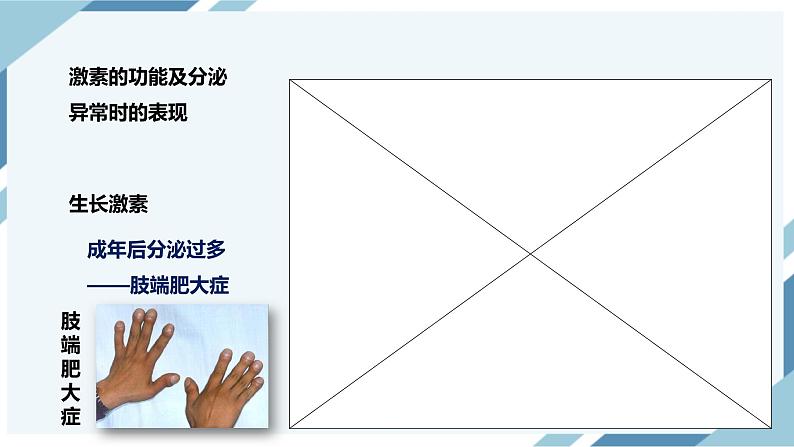 4.6.4激素调节（课件+教案+练习+导学案）08