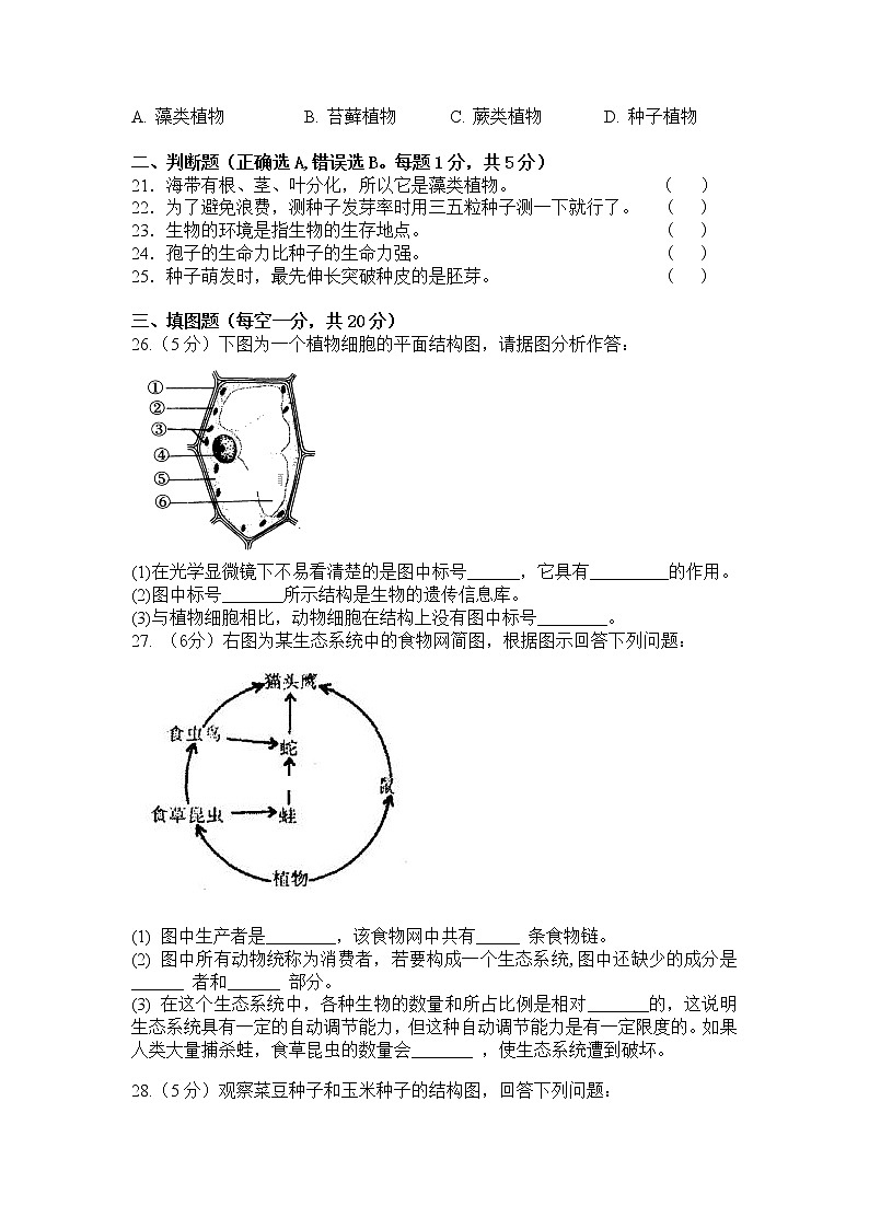人教版生物七年级上册月考试题3 含答案第3页