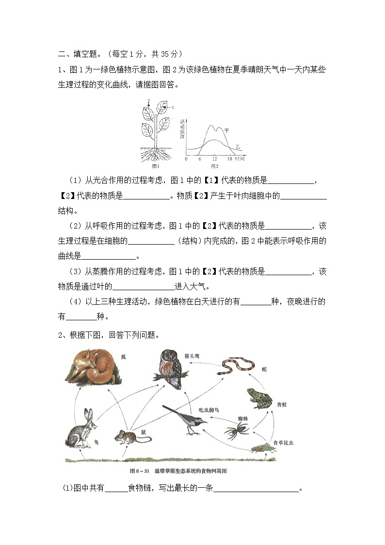 人教版生物七年级上册期末试题9 含答案03