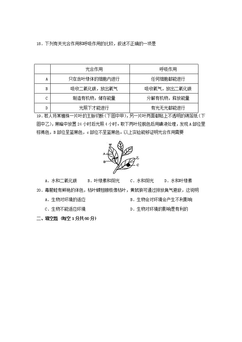 人教版生物七年级上册期中试题6含答案.doc第3页