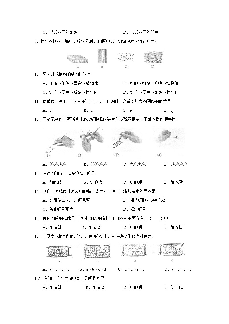 人教版生物七年级上册期中试题2 含答案.doc第2页