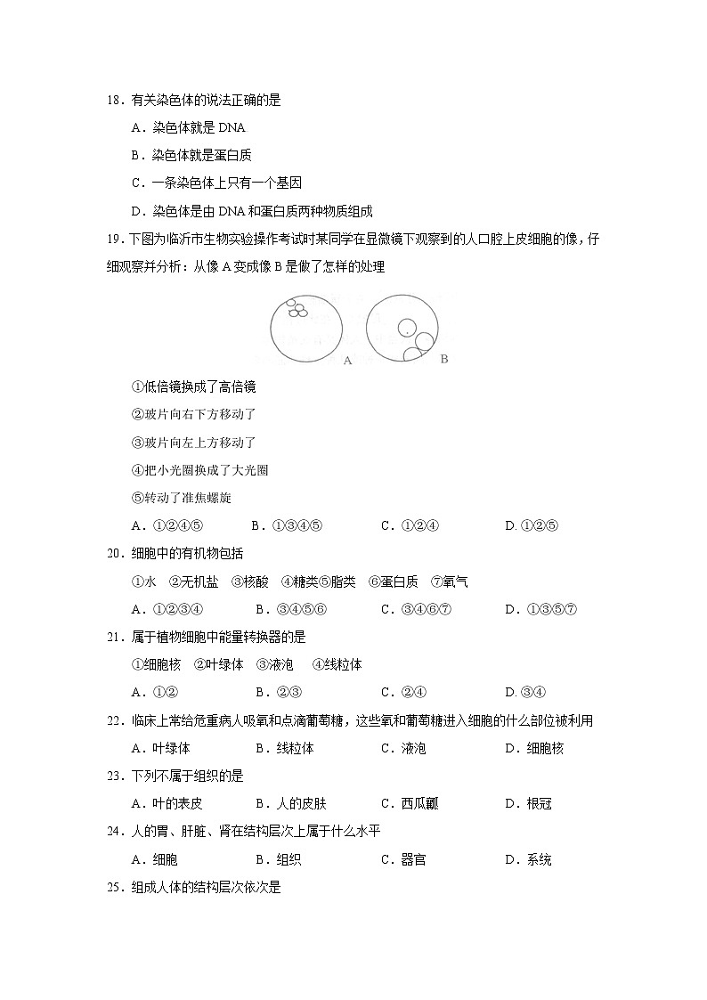 人教版生物七年级上册期中试题2 含答案.doc第3页