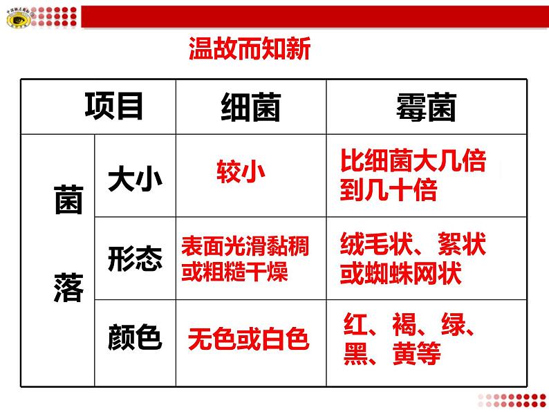 第五单元 第四章 第二节 细菌第2页