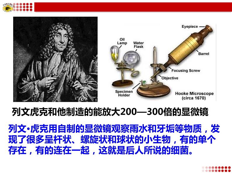 第五单元 第四章 第二节 细菌第6页