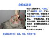 第五单元 第四章 第三节  真菌 课件