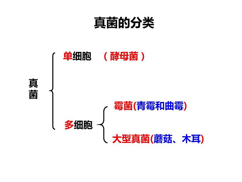 第五单元 第四章 第三节  真菌第6页