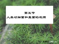 初中生物人教版 (新课标)八年级上册第五单元 生物圈中的其他生物第四章  细菌和真菌第五节 人类对细菌和真菌的利用教案配套ppt课件