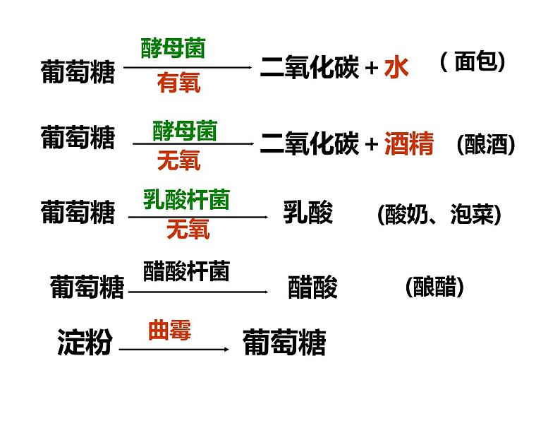 第五单元 第四章 第五节  人类对细菌和真菌的利用 课件06